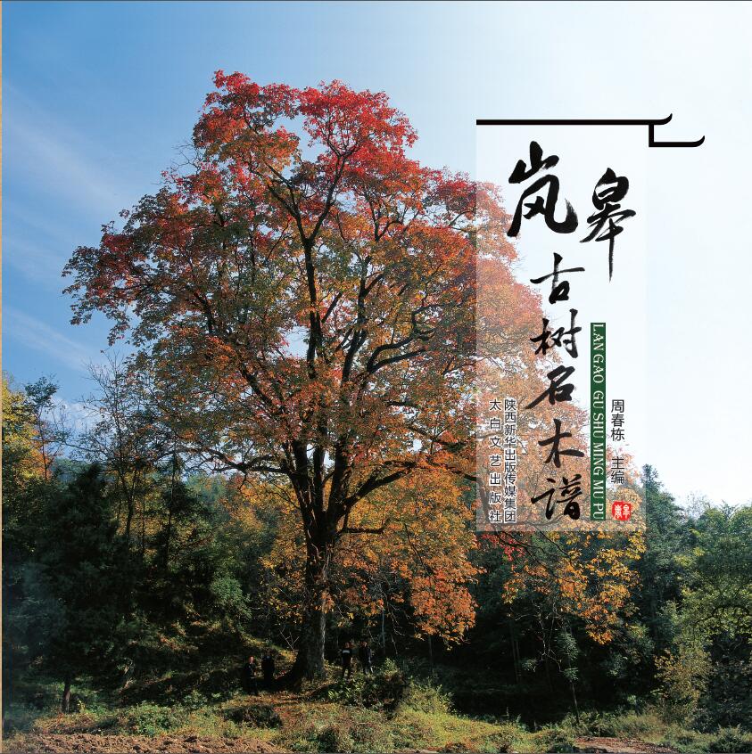 一部《岚皋古树名木谱》即将新鲜出炉