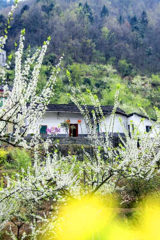 春季攻势行动篇: 春耕画卷里最美风景看图说