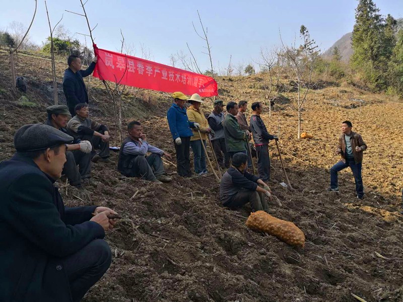 春季攻势行动篇: 春耕画卷里最美风景看图说