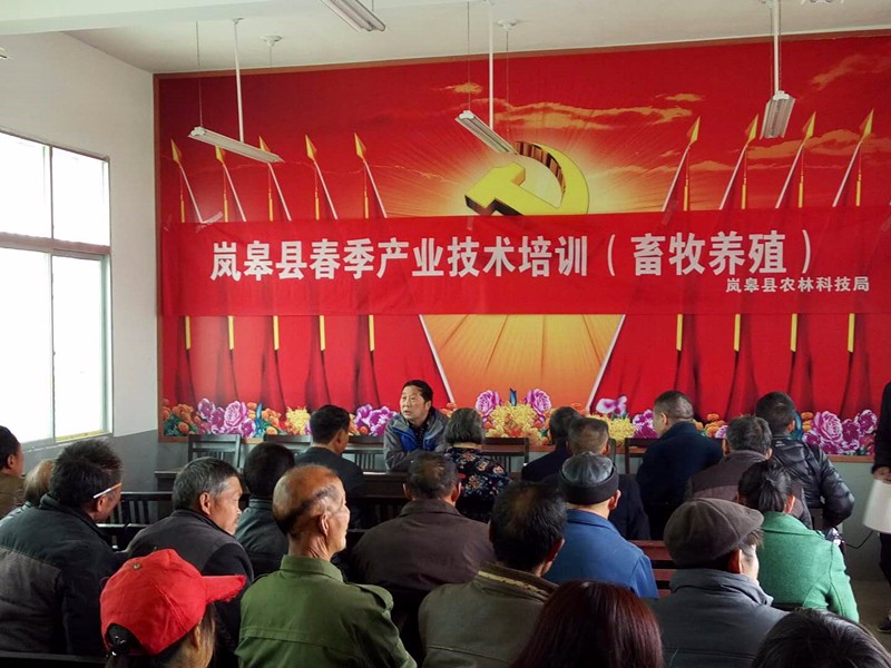 春季攻势行动篇: 春耕画卷里最美风景看图说