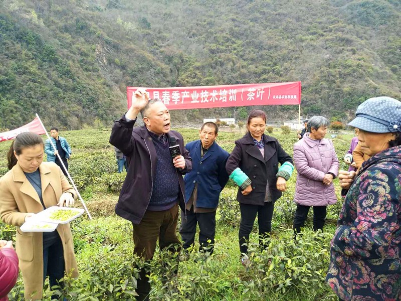春季攻势行动篇: 春耕画卷里最美风景看图说