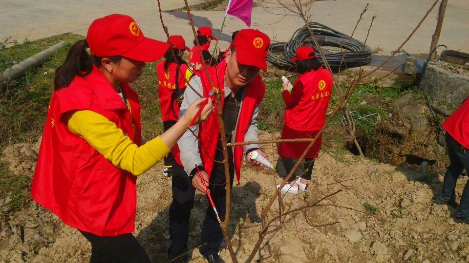 春季攻势行动篇: 春耕画卷里最美风景看图说