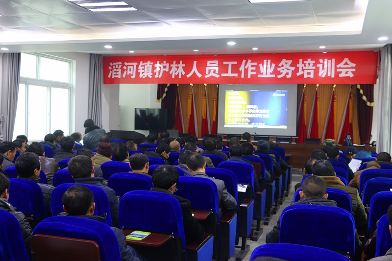 绿色守护者的生态脱贫路——岚皋县生态护林员脱贫纪实