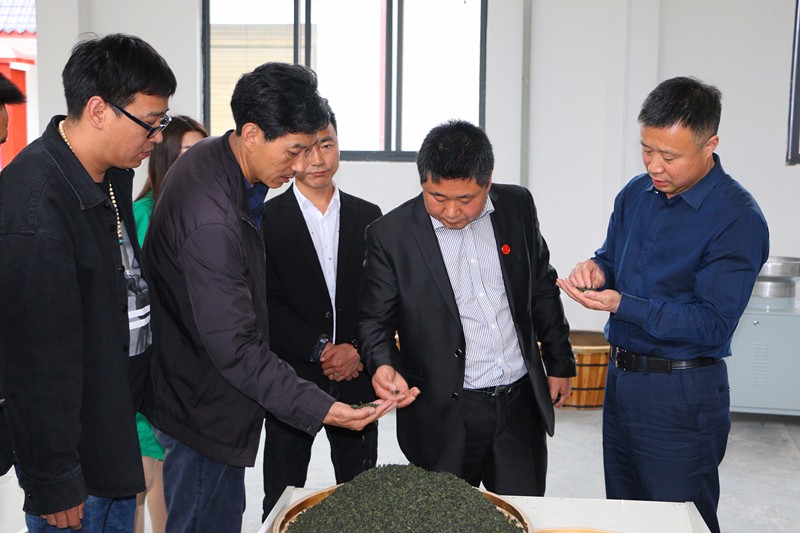 岚皋茶企竞相绽放，“谁”是茶旅融合的典范?   ——6000万订单强势来袭，助力脱贫没商量