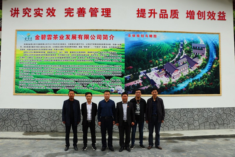 岚皋茶企竞相绽放，“谁”是茶旅融合的典范?   ——6000万订单强势来袭，助力脱贫没商量