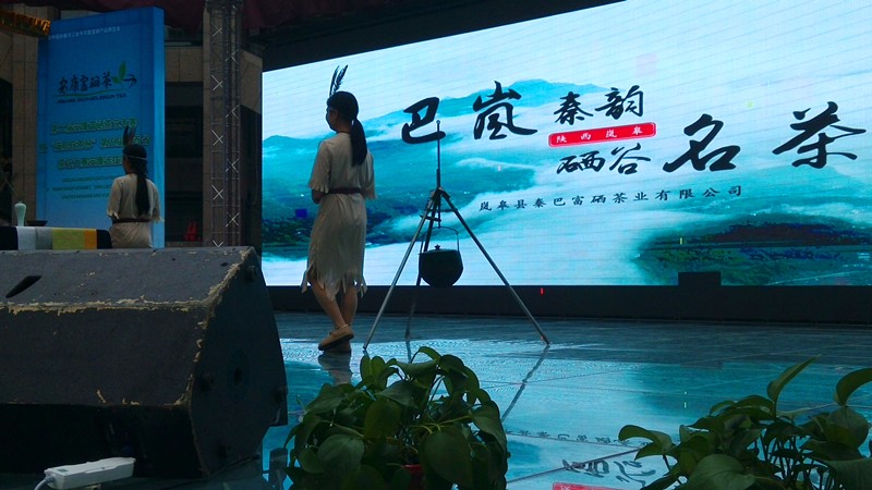 岚皋县茶艺表演“惊艳”安康赛场
