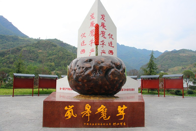 岚皋魔芋成为“农产品地理标志登记产品”